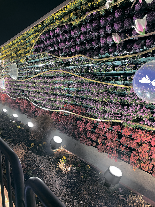 LED Ischia 2 - 3 LED Ischia 2 - 3