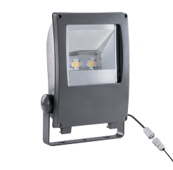 LED Pinguino ASY DYNA - 1