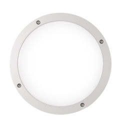 LED Luna piena BASIC EMER - 1