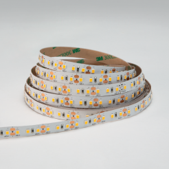 LED Flex monocromatica 12V Indoor - 1