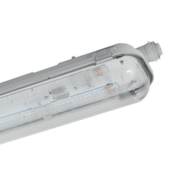 LED Felice con Lente - 1
