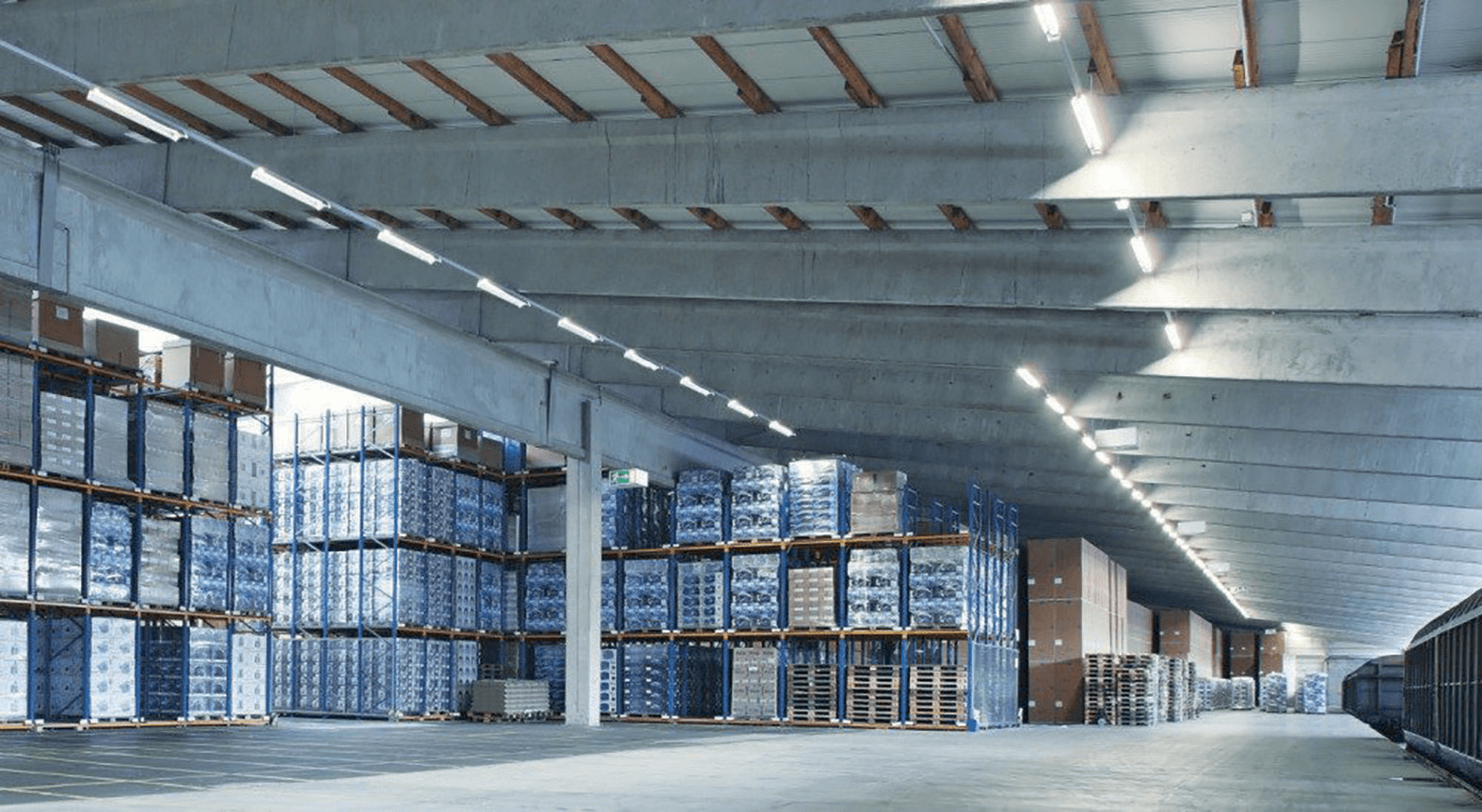 LED Felice - 3 LED Felice - 3