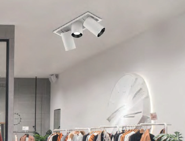 LED Regina R 2CCT - 3 LED Regina R 2CCT - 3