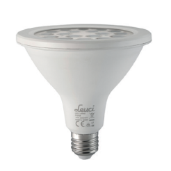 Lampadina LED PAR 38 - 1